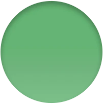 Correa deportiva verde brillante (41 mm) - Talla única - Image 4
