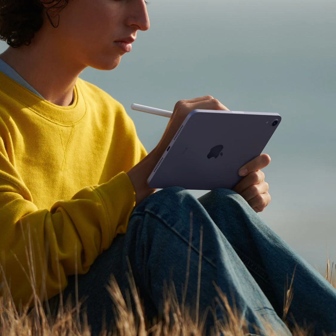 iPad mini Wi-Fi 256 GB Rosa Wi-Fi - Image 7