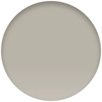 iPhone 15 Pro 256 GB Titanio natural - Image 11